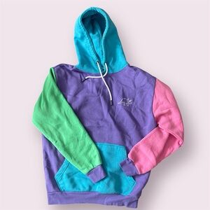 Multicolor Dinosaur Embroidered Hoodie